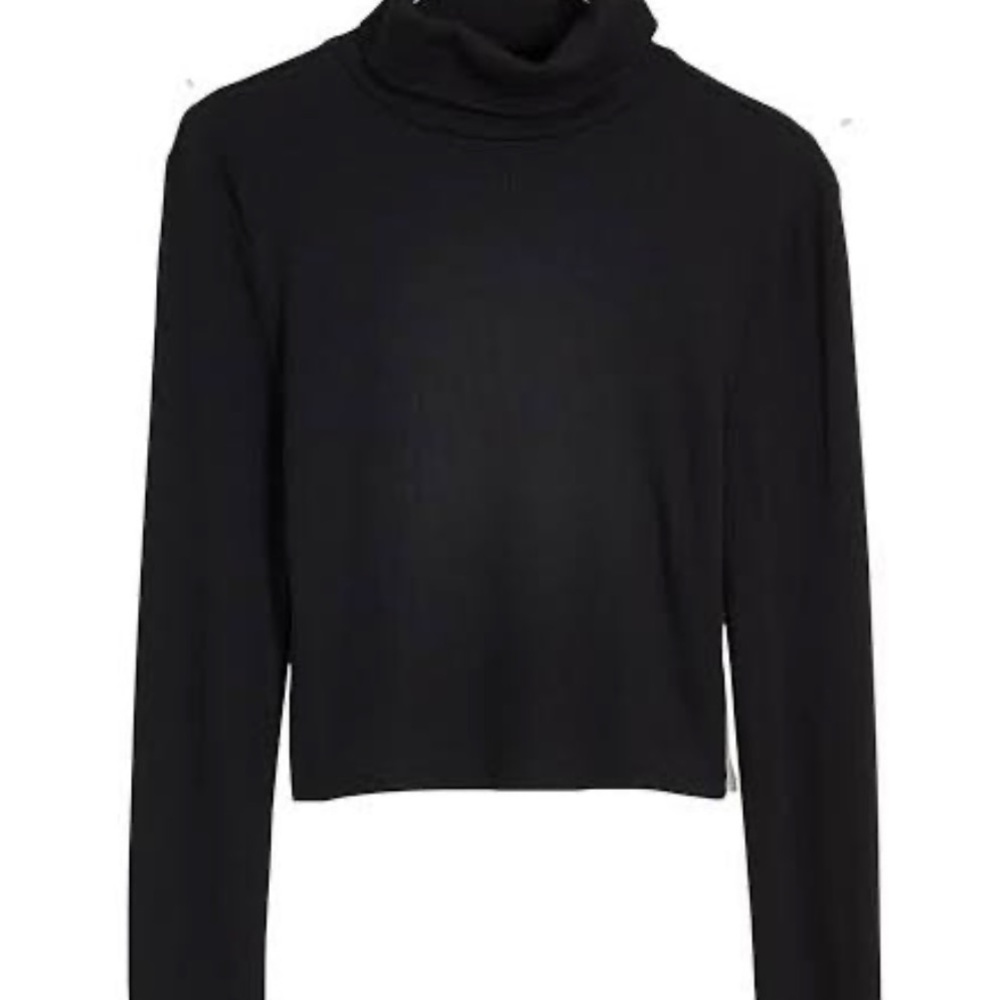 Splendid Long Sleeve Turtleneck Sweater